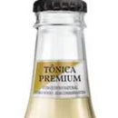 Wewi Ginger Ale 255ml
